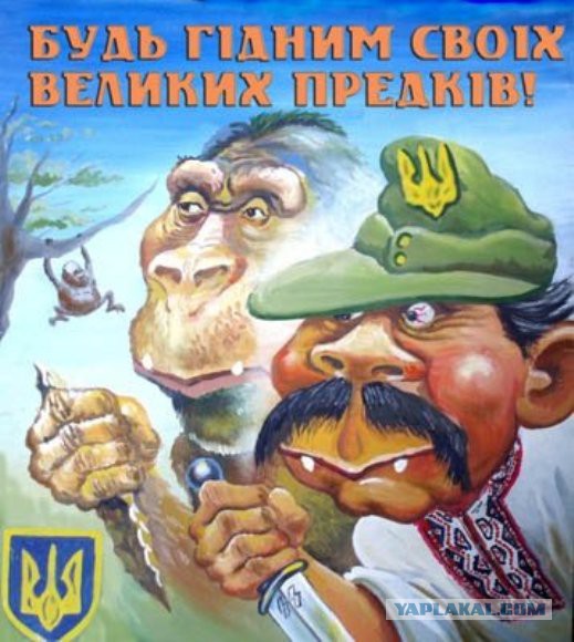 В Киеве реализуется «донецкий сценарий»
