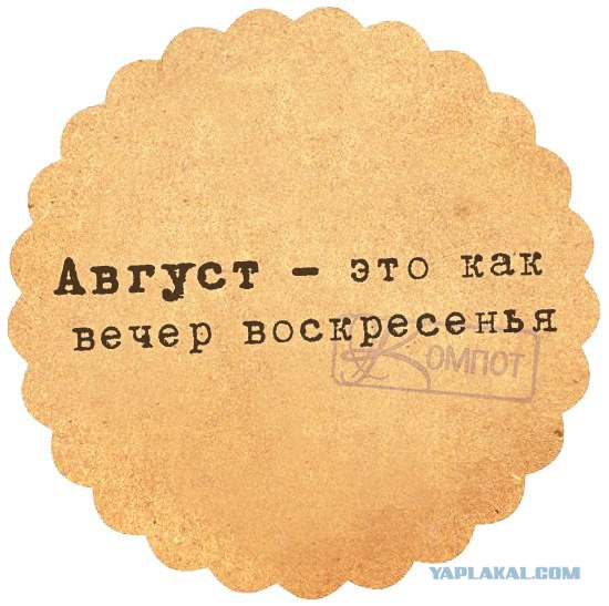 Добряки, плюсующие всех подряд