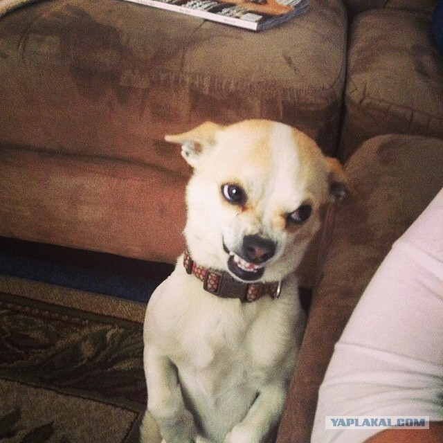 И конечно же никто... никто об этом не узнает