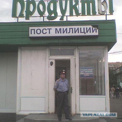 Смешные картинки