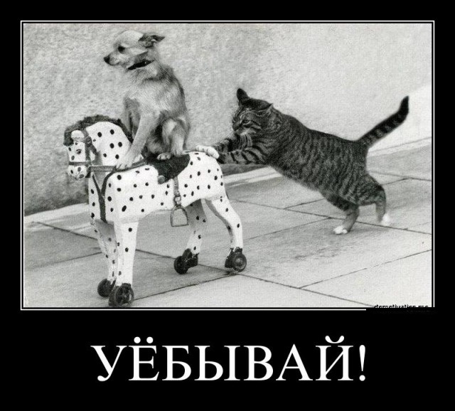 Честно сказать, я в ах...