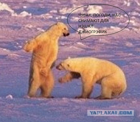 Лучшие фото ноября от National Geographic