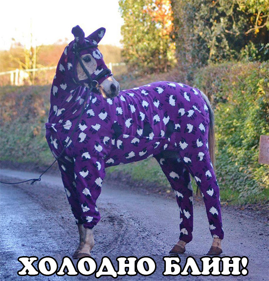 Весёлые картинки