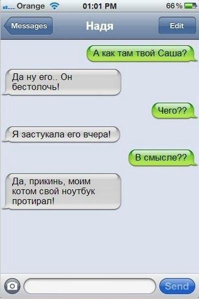 Смешные комментарии из социальных сетей