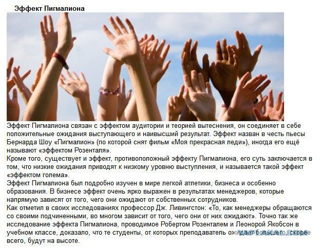 20 фактов обо всем