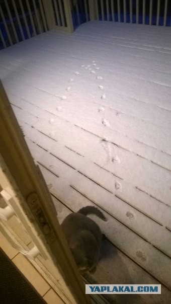 Где-то здесь был выход