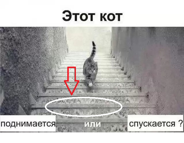 Вопрос который будоражит мировой интернет...