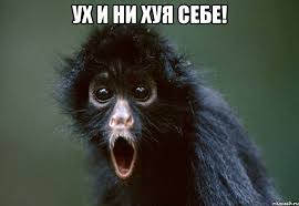 Помните красавицу
