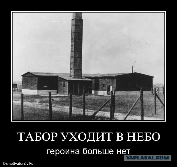 Машины цыганских баронов Машины цыганских баронов