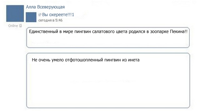 Как выглядит стандартная лента вконтакте