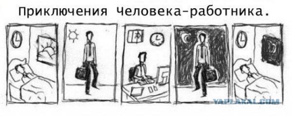 Айфон головного мозга: очереди в палатках