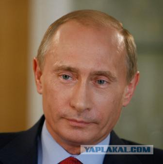 Вы пойдете за белых или за красных?