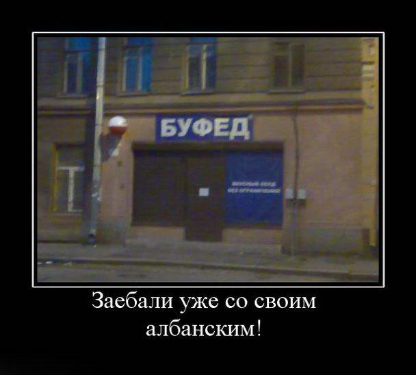Прикольные картинки и демотиваторы