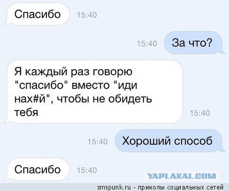 Подборка смешных и забавных фото