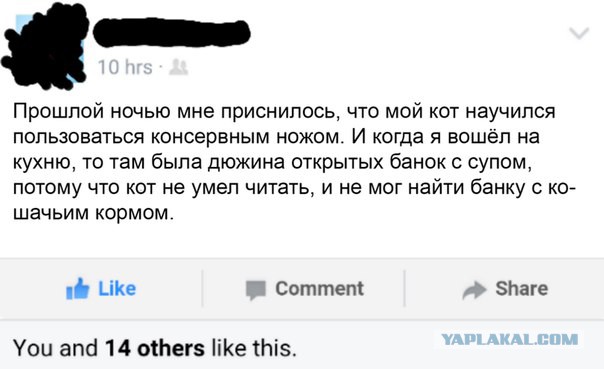 Смешные комментарии 07.01.2016
