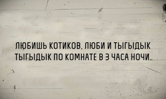 Весёлые картинки