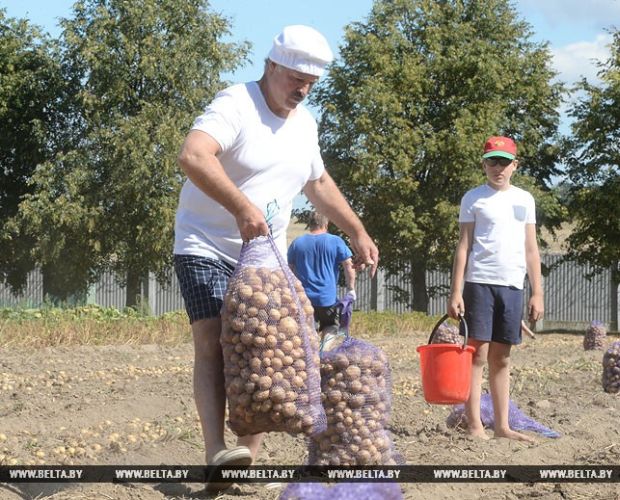 В свете последних событий