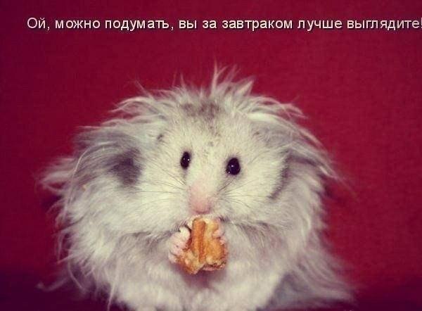 Картинки