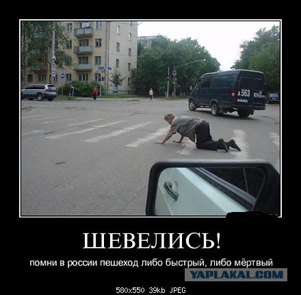 Демотиваторы на пятницу!
