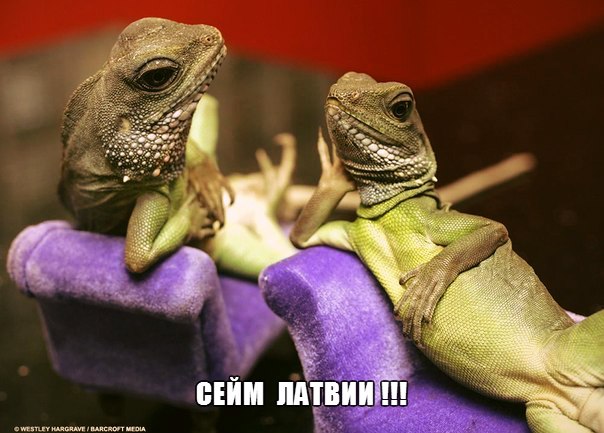 Ультиматум Латвии