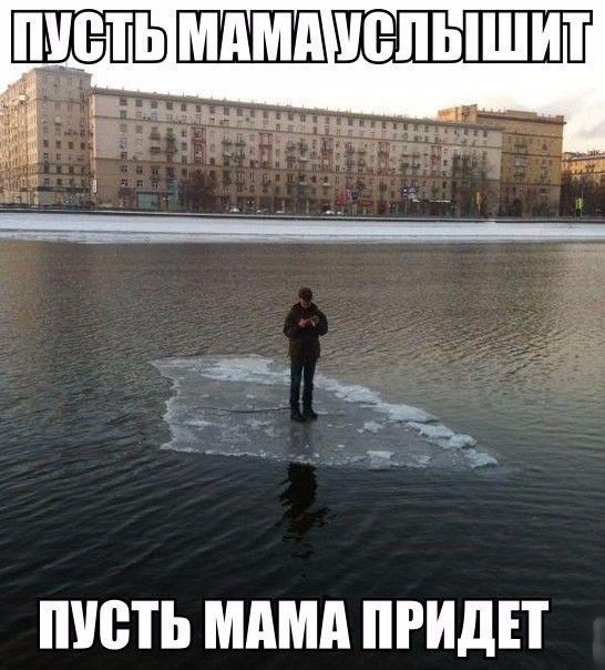 Подборка веселых картинок на выходные