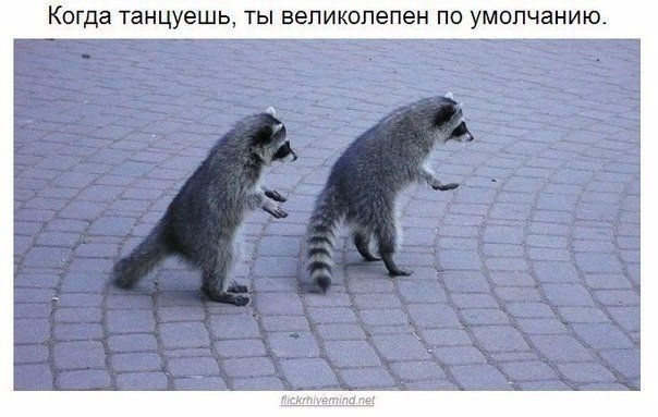 Мохнатые беспредельщики