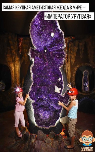 Интересные и веселые картинки