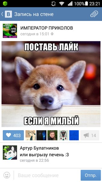Ужасы и приколы из соцсетей 18+
