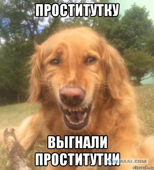 19-летнюю участницу «Дома-2» выгнали с проекта за проституцию