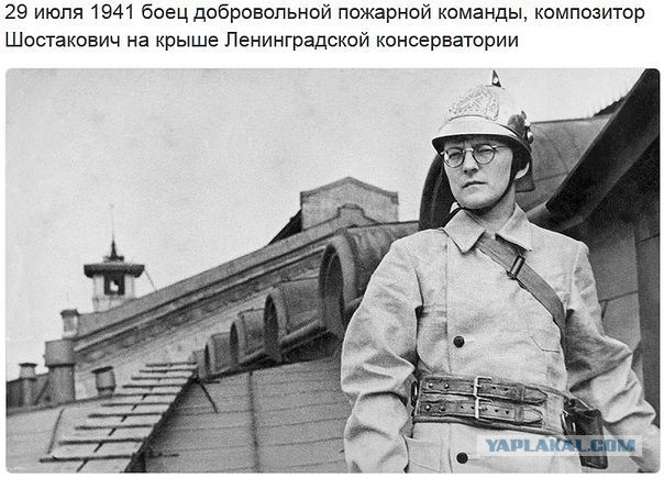 Подборка картинок выходного дня