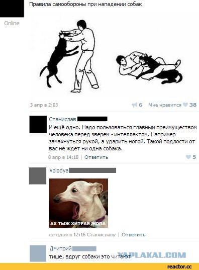 Порция картинок из сети
