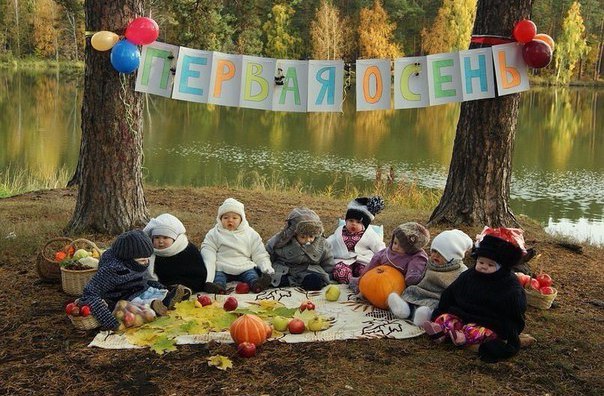 Картинки из сети