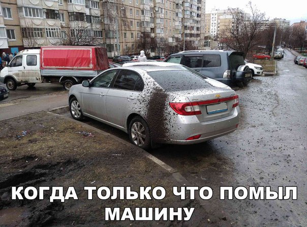 Картинки и приколы из сети