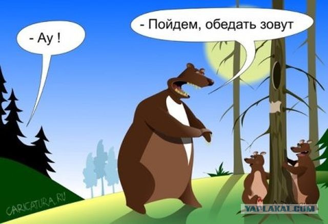 Немного когнитивного диссонанса