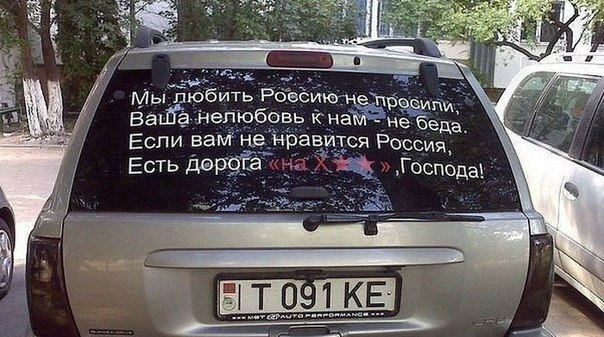 Прикольные и веселые картинки