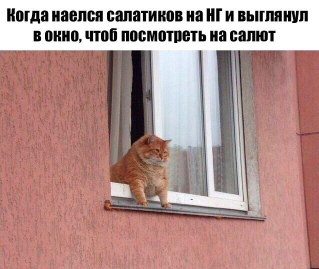 Порция пикчей из палаты №6