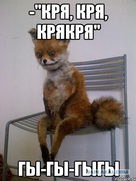 Сбор баянов 2017