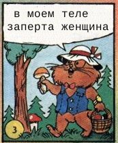 Всякое разное из сети