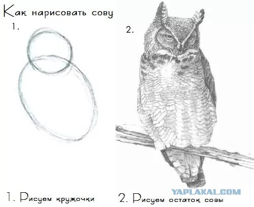 Запиливание крыльца руками мужа