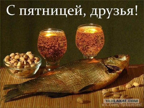 Молодая парочка сделали эффектное фото на капоте БМВ