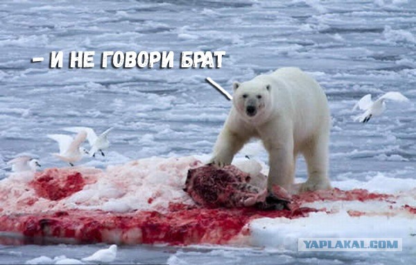 Фотоохота удалась