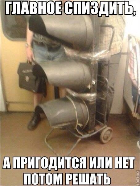О животных и жывотных