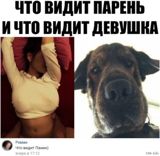 Что за мем с собакой в джинсах Подеградируем, немного картинок веселых и разных - ЯПлакалъ