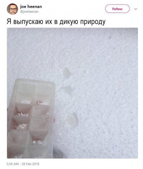 Тятя! Тятя! Наши сети принесли неадекват!
