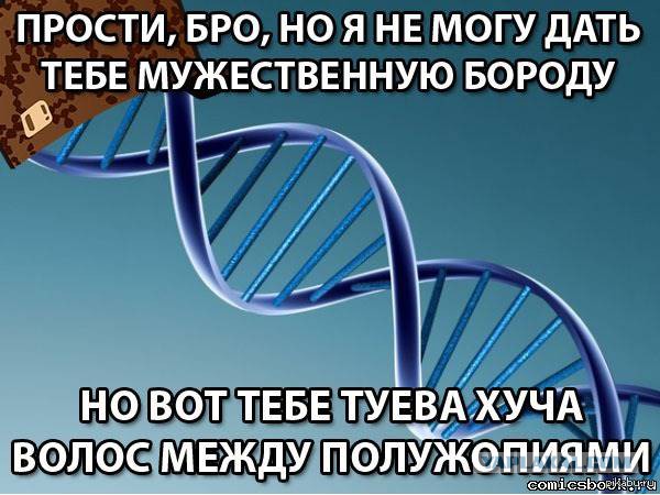 Человек давно хотел бороду но у него не росла и он пересадку волос сделал