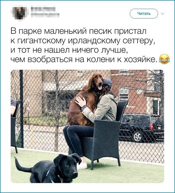 Немного забавных комментариев