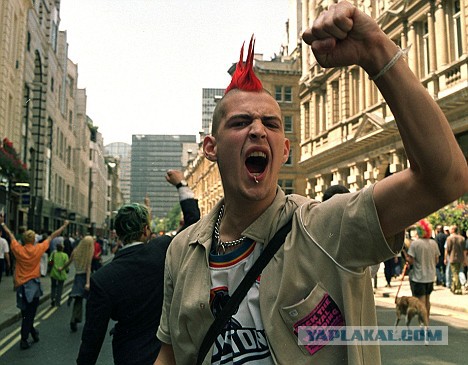 Punk’s Not Dead
