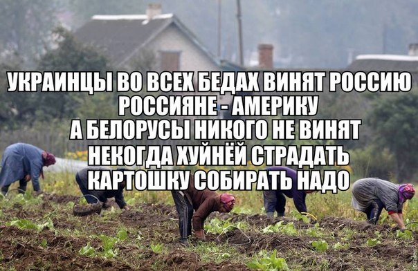 Не очень адекватный юмор