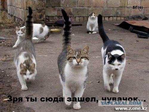 Потерявший страх!