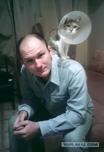 Котовторник 20.12.2011